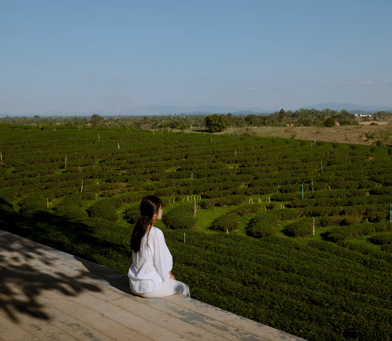 A resident overlooking the open meadows